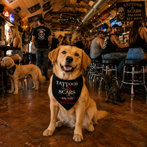 Pet Bandanas