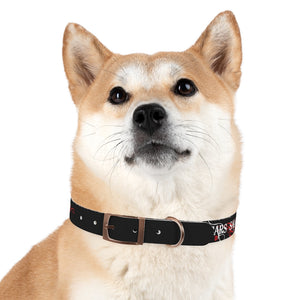 Dog Collar